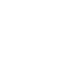 TSM